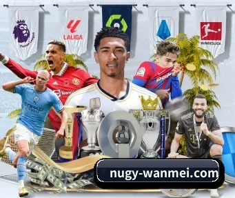 完美体育 APP